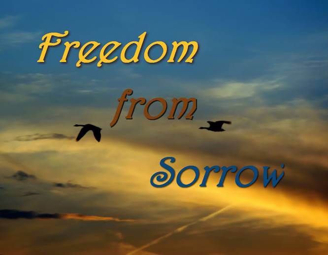 Freedom-from-Sorrow-cvr.jpg